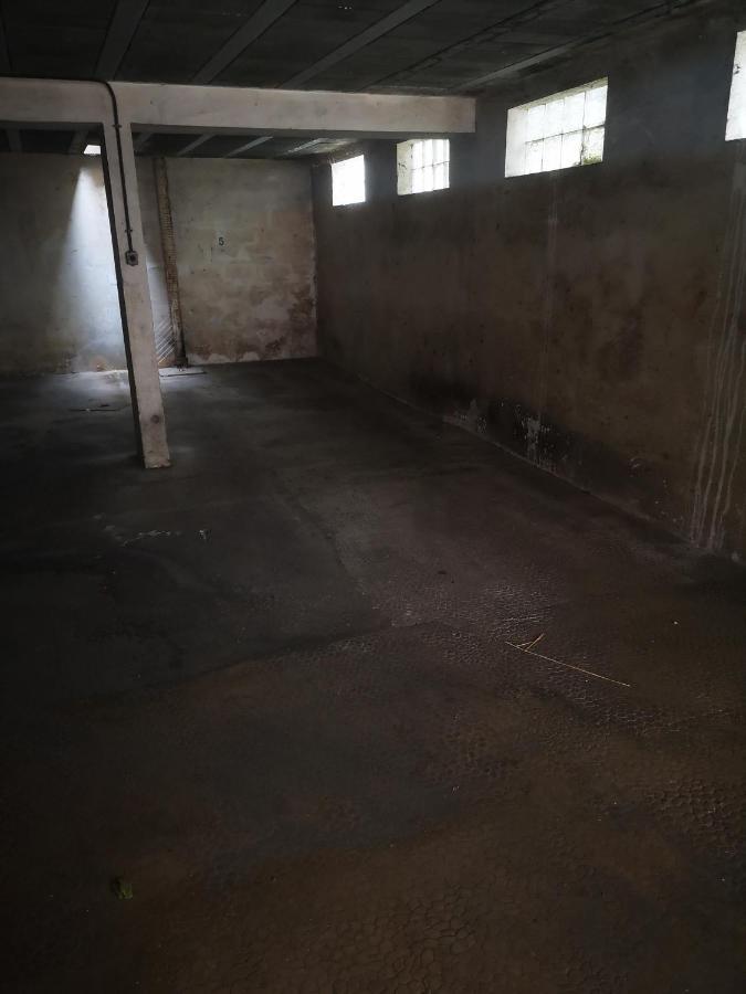 Studio Jungle Au Mourillon Apartman Toulon Kültér fotó